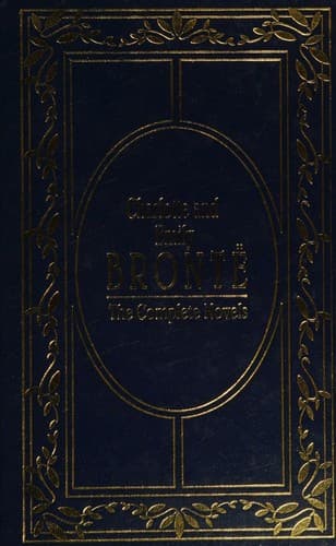 Novels (Jane Eyre / Professor / Shirley / Villette / Wuthering Heights)