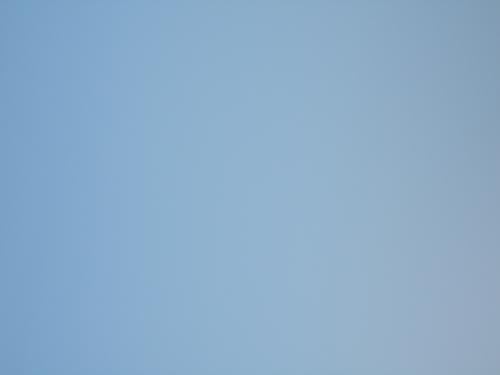 Cash's textbook of neurology for physiotherapists