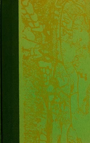 The World from Rough Stones