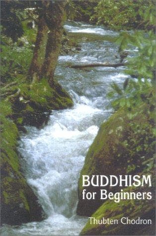 Buddhism for beginners
